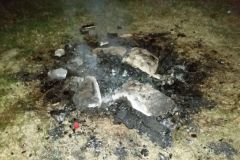 2016-09-04 Zurückgelassenes Lagerfeuer am Neckar