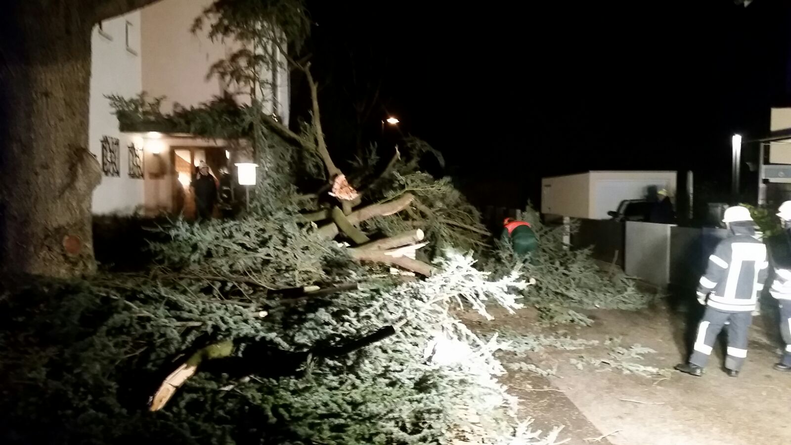 Foto 13.01.17, 03 39 07 (1)