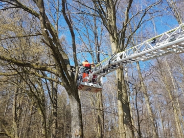 Foto 9