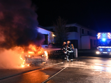 PKW-Braende7