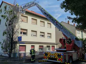 IMG-20220824-WA0004