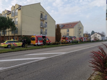 AH Avendi Neckarhausen